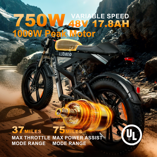 AK2 Electric Dirt Bike Peak 1000W 48V 34MPH