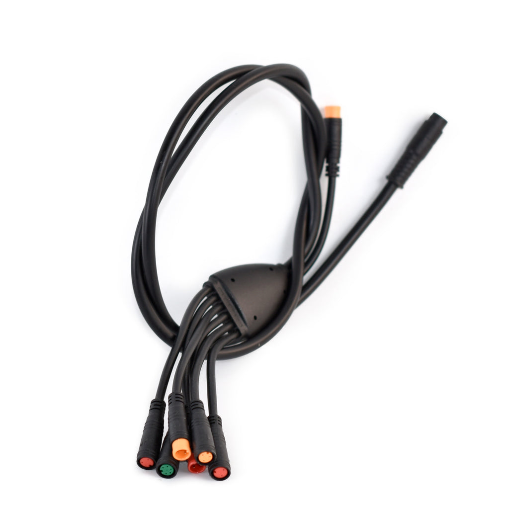 EOEOTWO E01 Main Wiring Harness