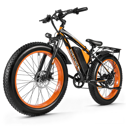 E02 Electric Bike Peak 1500W 48V 20Ah